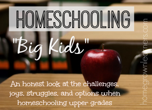 Homeschooling Big Kids